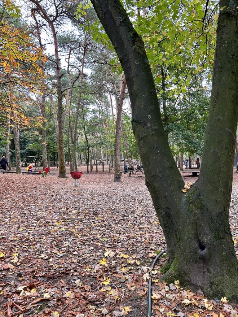 Spielplatz auf dem Wildfreigehege Saerbeck